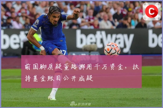 前国脚质疑董路挪用千万资金，扶持基金账目公开成疑