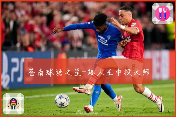 苍南球场之星-路人王中投大师