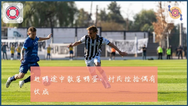 赶鸭途中散落鸭蛋，村民捡拾偶有收成